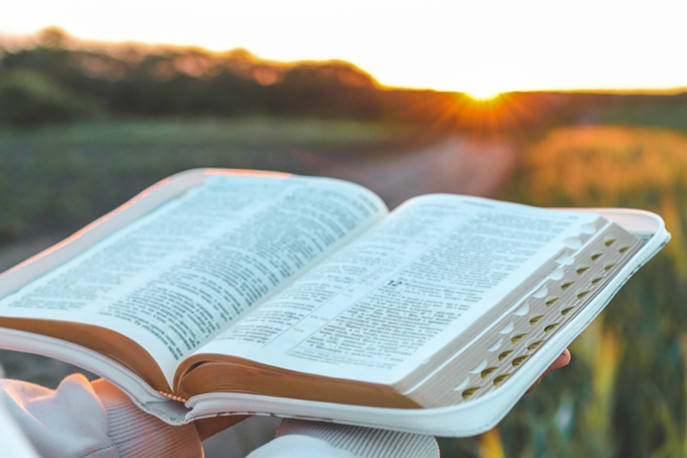 Love God: Keep God’s Word Always Before You